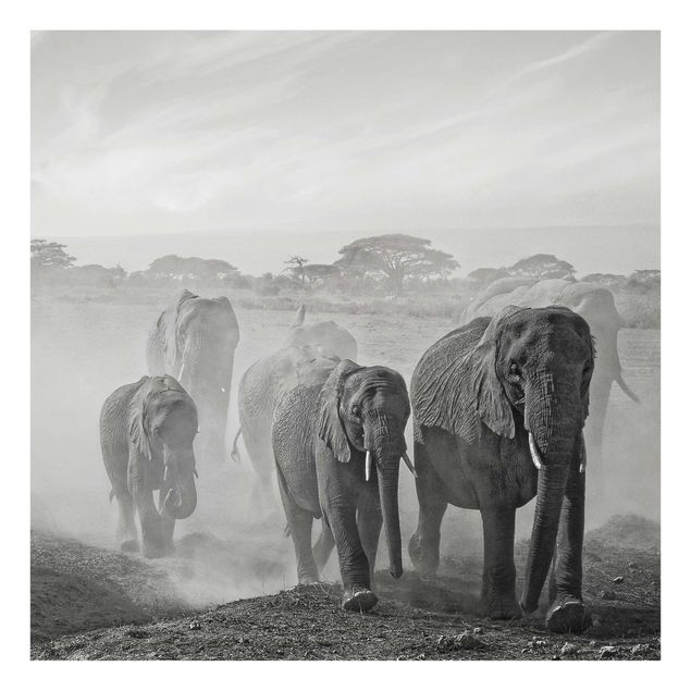 Glastavlor landskap Herd Of Elephants