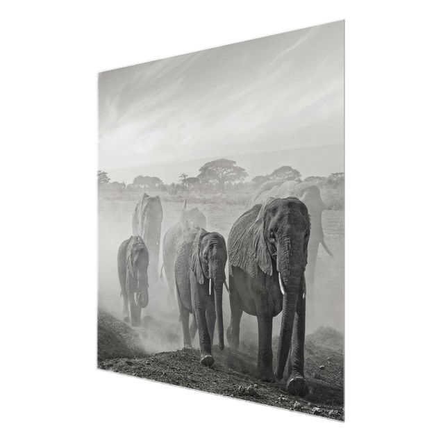 Glastavlor djur Herd Of Elephants