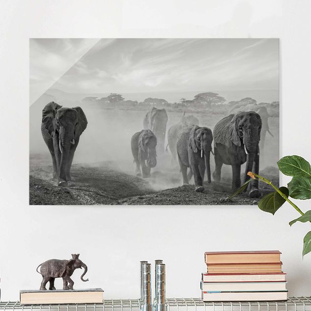 Kök dekoration Herd Of Elephants