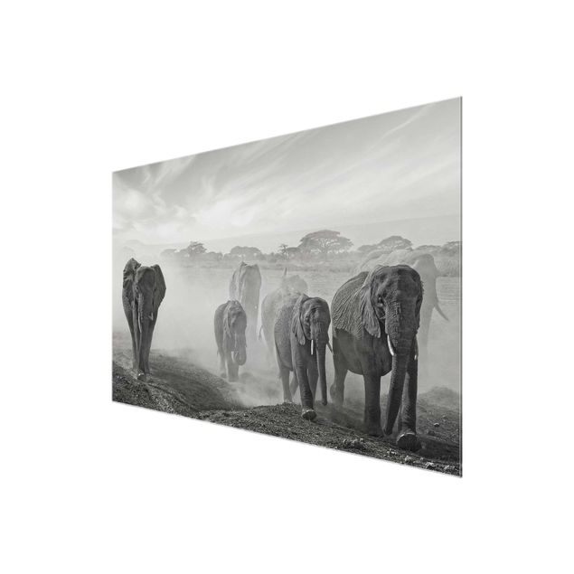 Glastavlor djur Herd Of Elephants