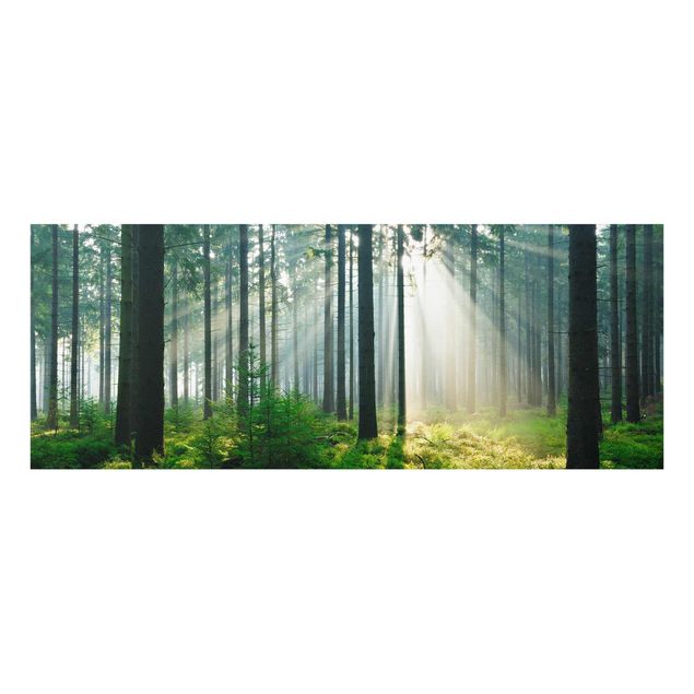 Tavlor natur Enlightened Forest