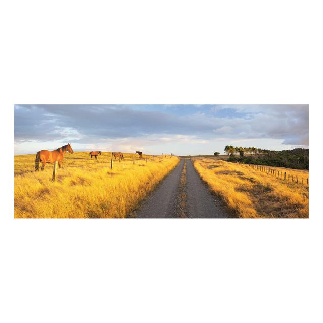 Glastavlor djur Field Road And Horse In Evening Sun