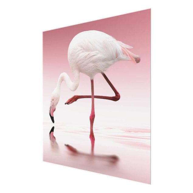 Tavlor Flamingo Dance