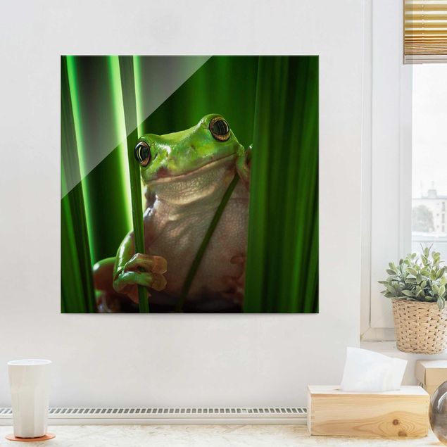 Kök dekoration Merry Frog