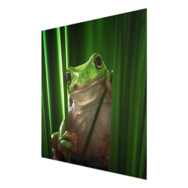 Glas Magnettavla Merry Frog