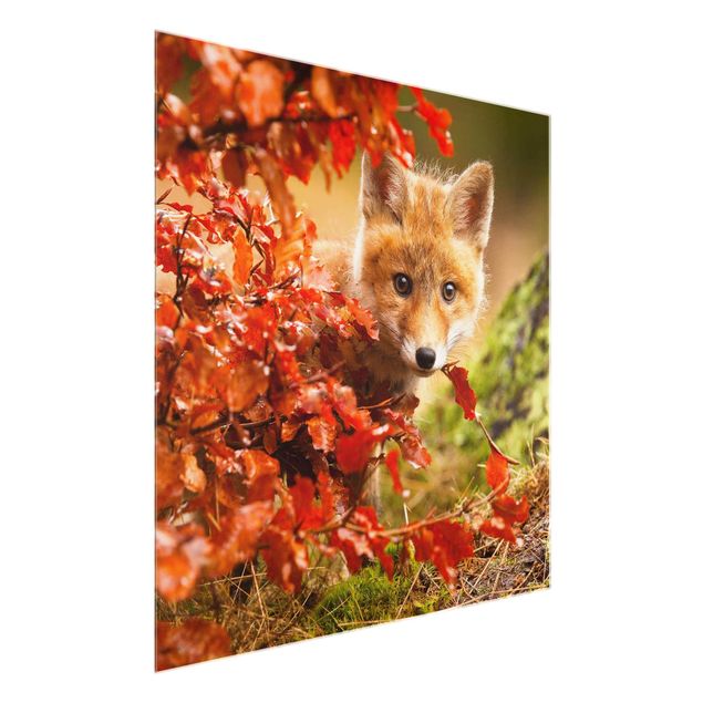Glastavlor landskap Fox In Autumn