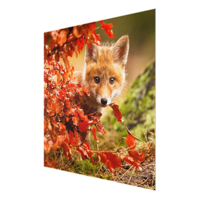 Tavlor natur Fox In Autumn