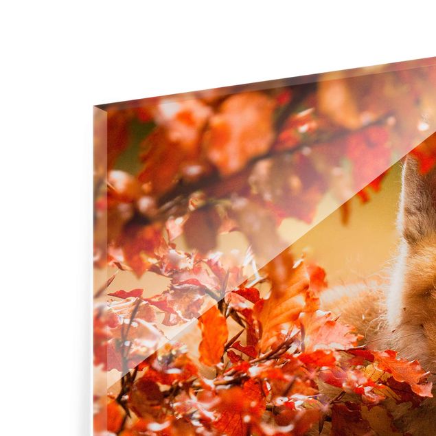 Tavlor orange Fox In Autumn