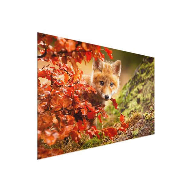 Glastavlor landskap Fox In Autumn