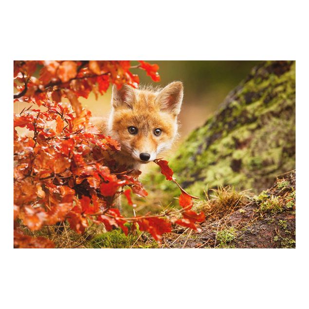 Glastavlor djur Fox In Autumn