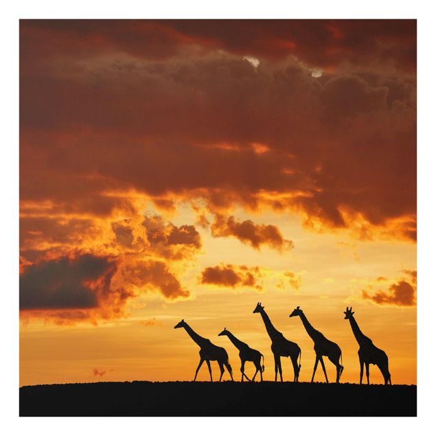 Glastavlor djur Five Giraffes