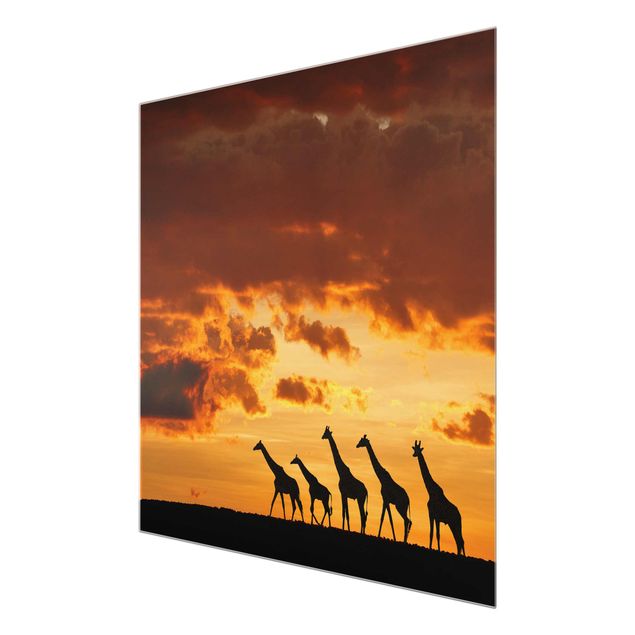 Tavlor natur Five Giraffes