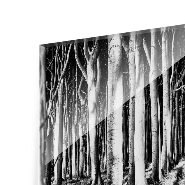 Tavlor svart och vitt Spooky Forest