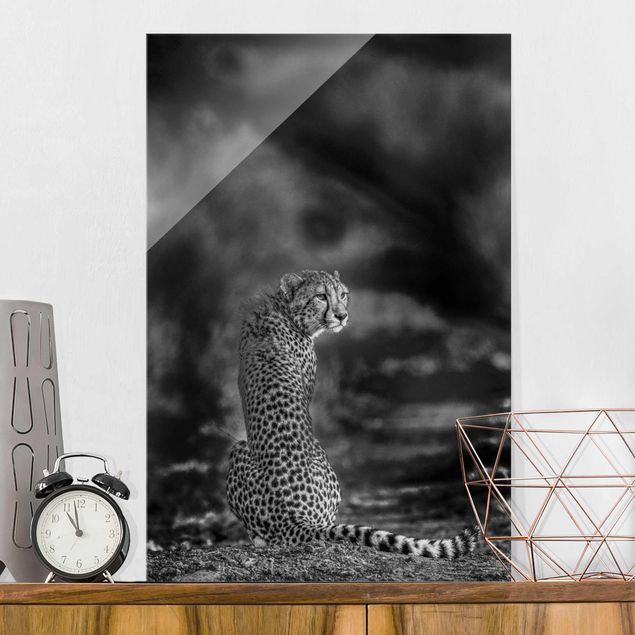 Kök dekoration Cheetah In The Wildness