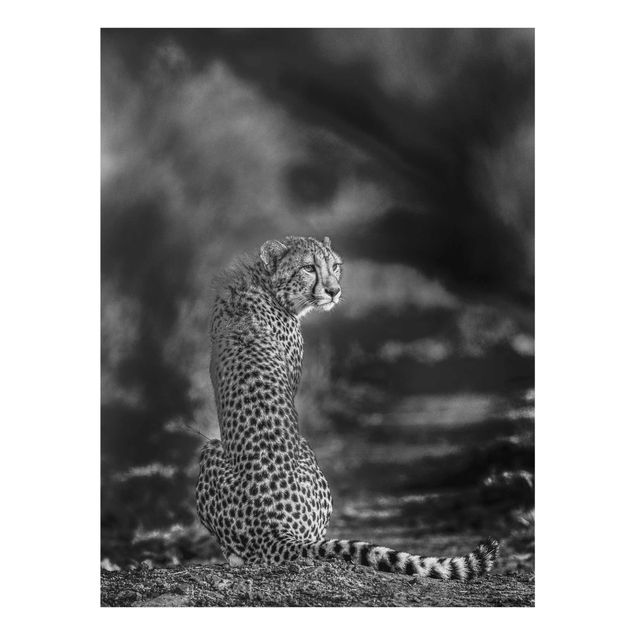 Tavlor svart och vitt Cheetah In The Wildness
