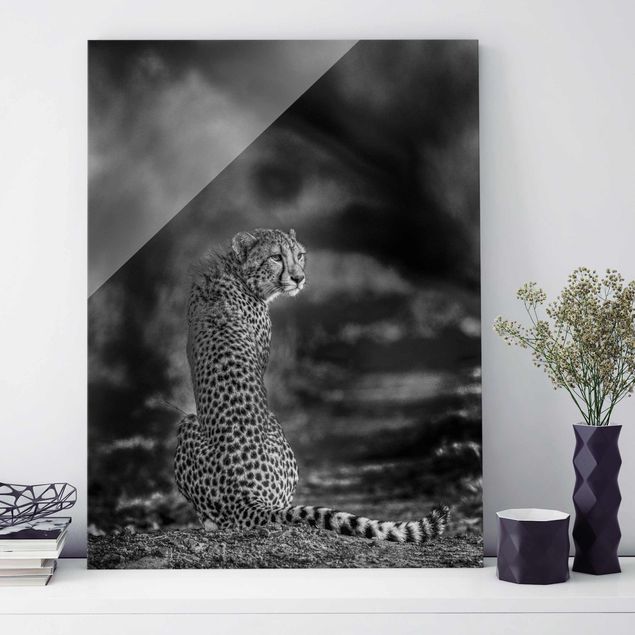 Kök dekoration Cheetah In The Wildness
