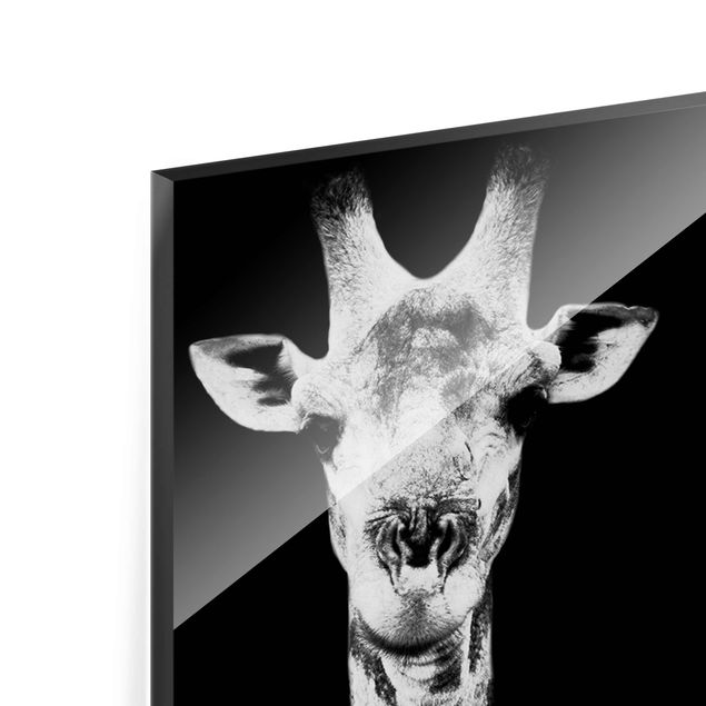 Glas Magnetboard Giraffe Duo black & white