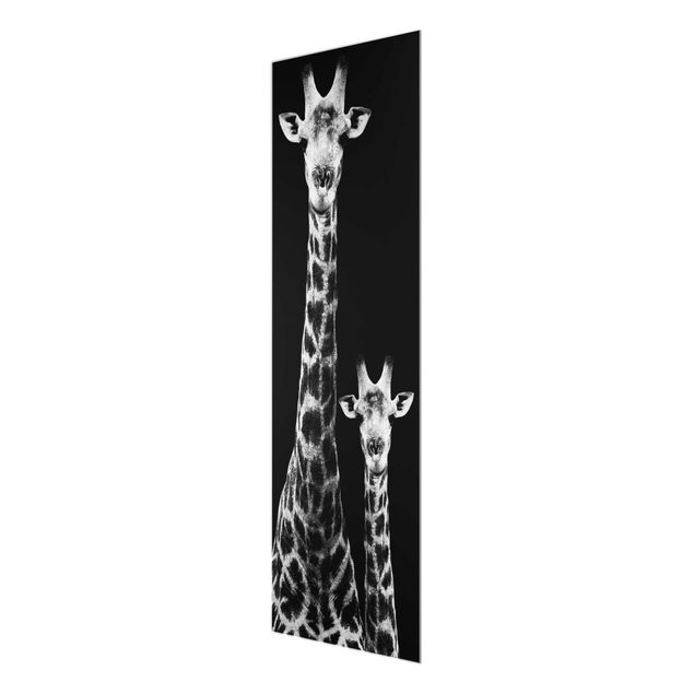 Tavlor svart och vitt Giraffe Duo black & white