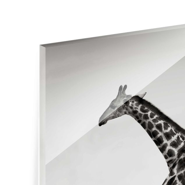 Glas Magnetboard Giraffe Hunt