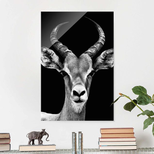 Kök dekoration Impala antelope black & white