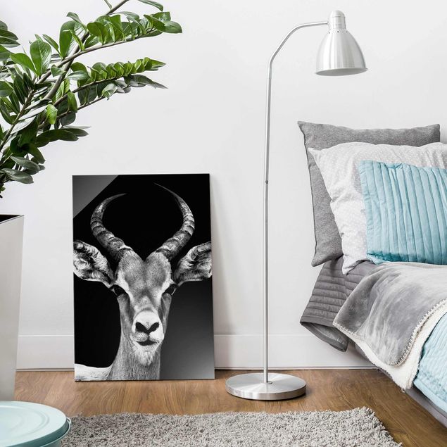 Glastavlor djur Impala antelope black & white