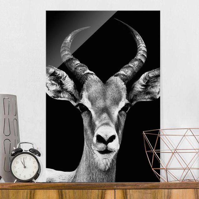 Glastavlor svart och vitt Impala antelope black & white