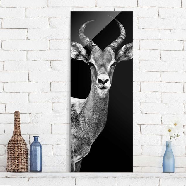 Kök dekoration Impala antelope black & white