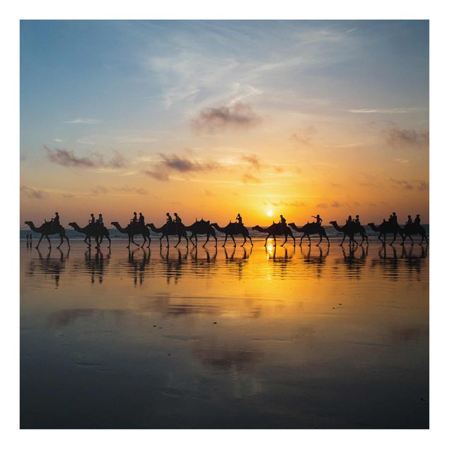Tavlor djur Camels in the sunset