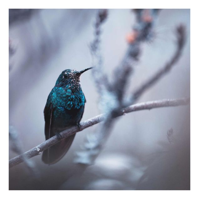 Tavlor lila Hummingbird In Winter