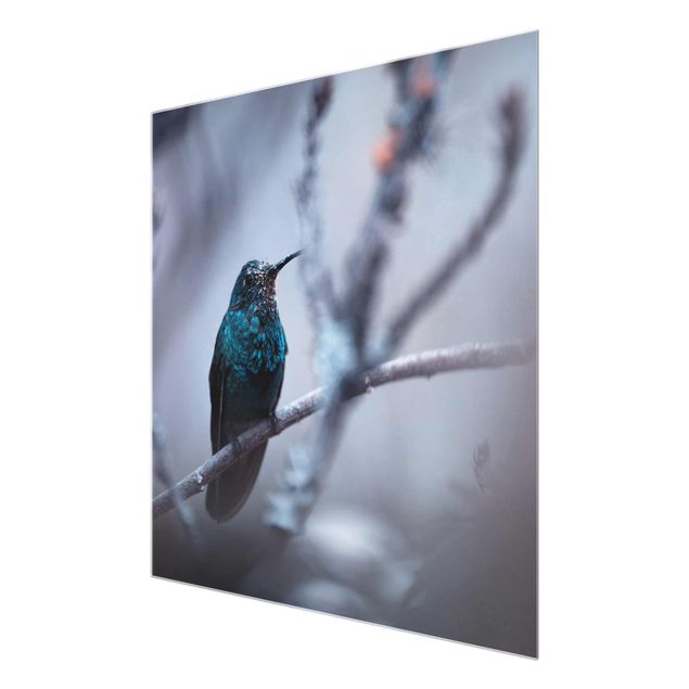 Tavlor Hummingbird In Winter