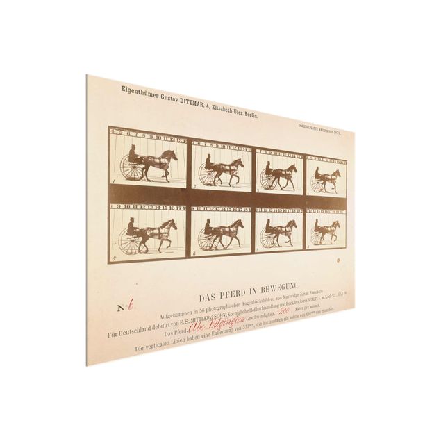 Konststilar Eadweard Muybridge - The horse in Motion