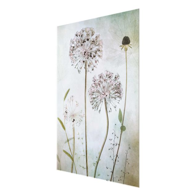 Glas Magnetboard Allium flowers in pastel