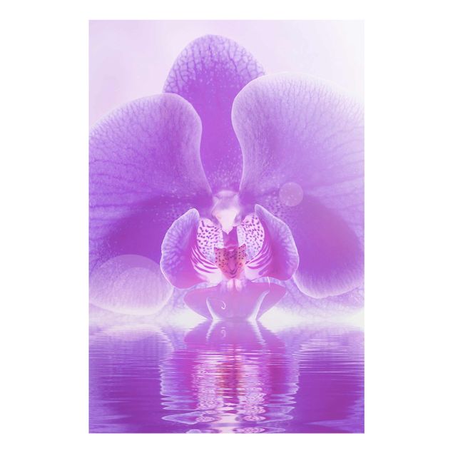 Tavlor blommor Purple Orchid On Water