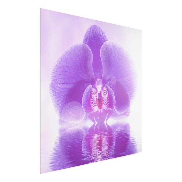 Glastavlor blommor  Purple Orchid On Water