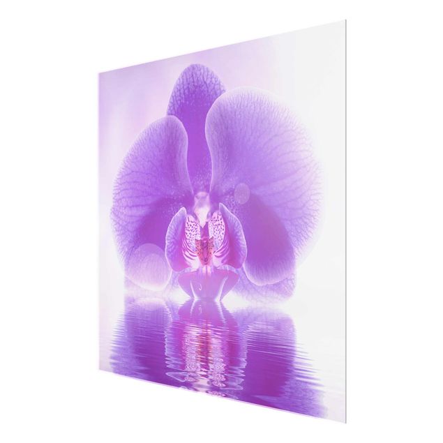 Tavlor blommor  Purple Orchid On Water
