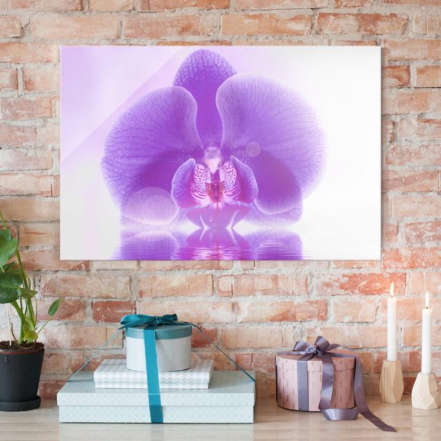 Tavlor orkidéer Purple Orchid On Water