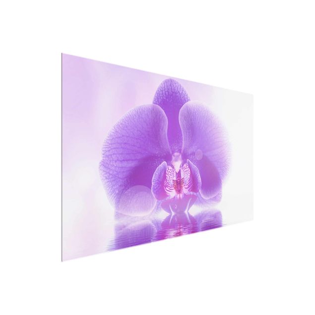 Glastavlor blommor  Purple Orchid On Water