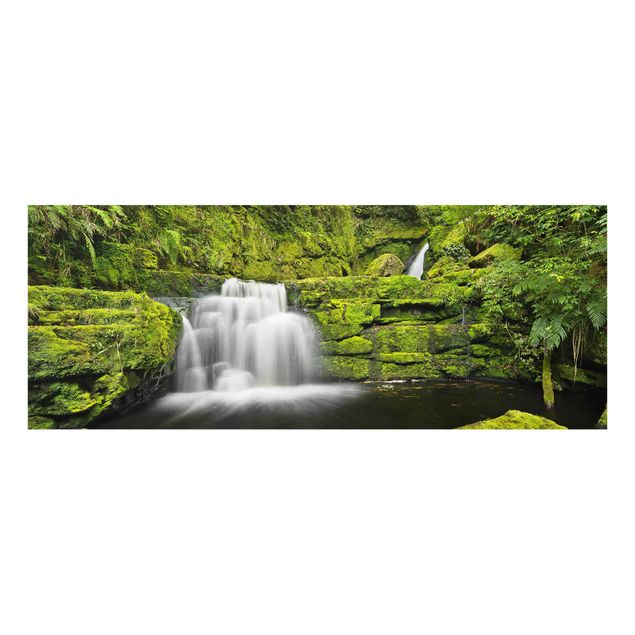 Tavlor natur Lower Mclean Falls In New Zealand