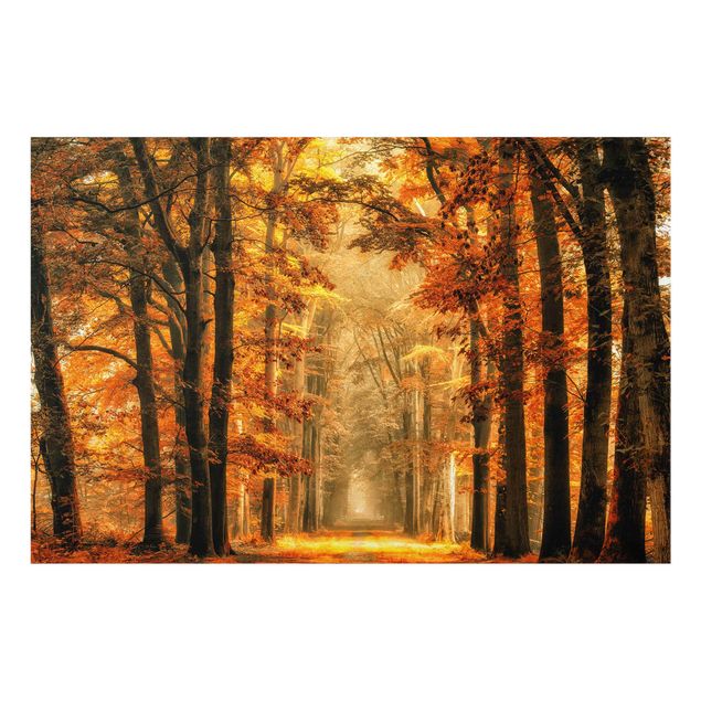 Tavlor natur Enchanted Forest In Autumn