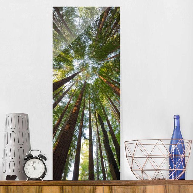Kök dekoration Sequoia Tree Tops