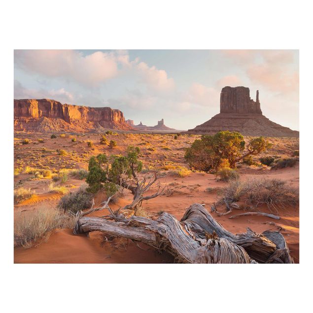 Glastavlor landskap Monument Valley Navajo Tribal Park Arizona