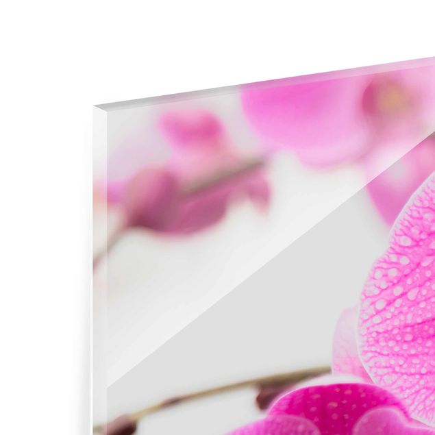 Glas Magnettavla Close-Up Orchid