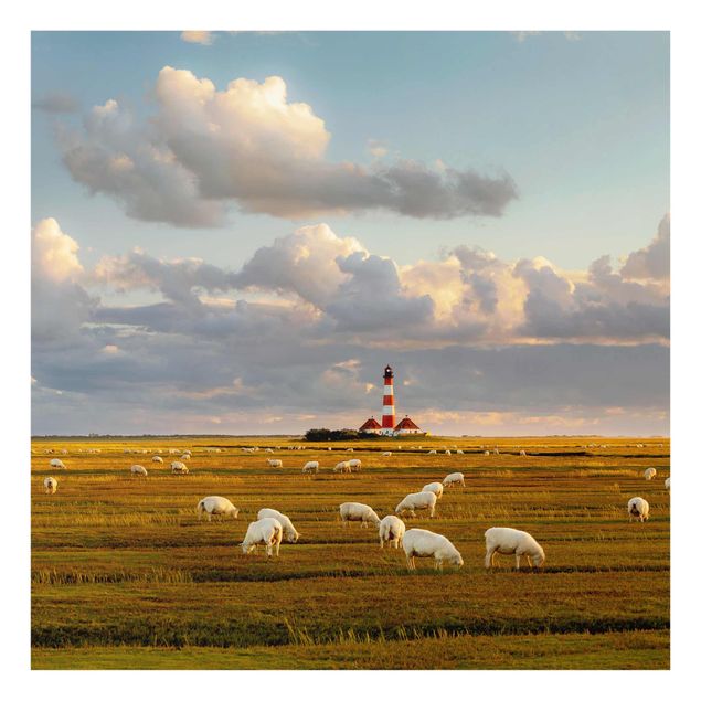 Tavlor natur North Sea Lighthouse With Flock Of Sheep