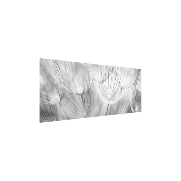 Glastavlor svart och vitt Dandelions macro shot in black and white