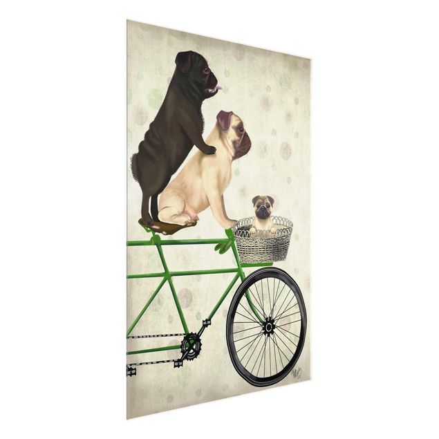 Tavlor retro Cycling - Pugs On Bike