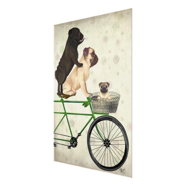 Tavlor Cycling - Pugs On Bike