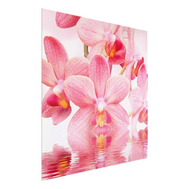 Glastavlor blommor  Light Pink Orchid On Water
