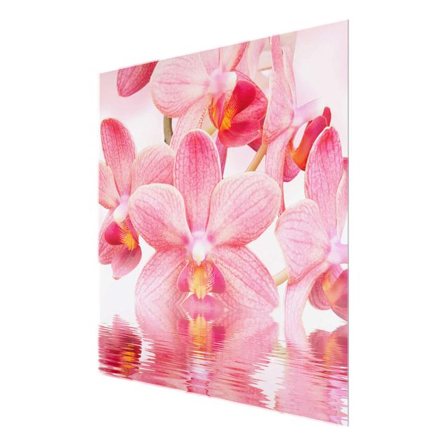 Tavlor blommor  Light Pink Orchid On Water