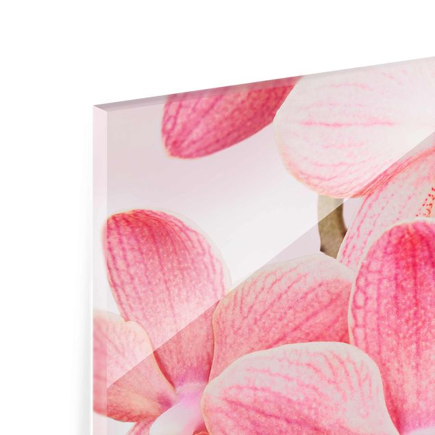 Glas Magnettavla Light Pink Orchid On Water