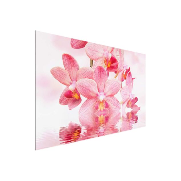 Glastavlor blommor  Light Pink Orchid On Water